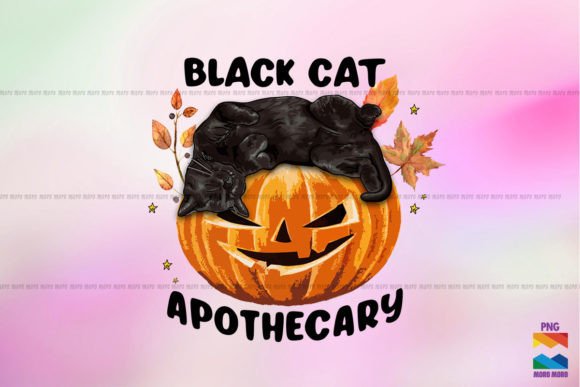 Black Cat Pumpkin Apothecary Embroidery Review